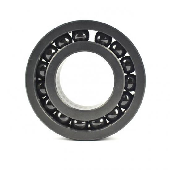 Silicon Carbide Ball Bearings